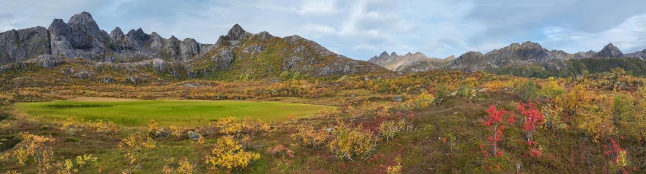 Wildlife Panorama Lofoten Bostad 外观 照片