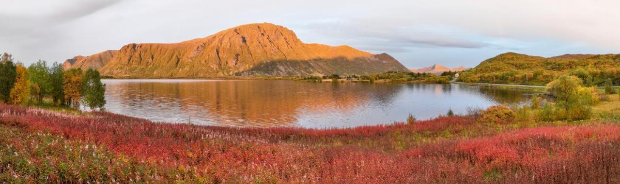 Wildlife Panorama Lofoten Bostad 外观 照片