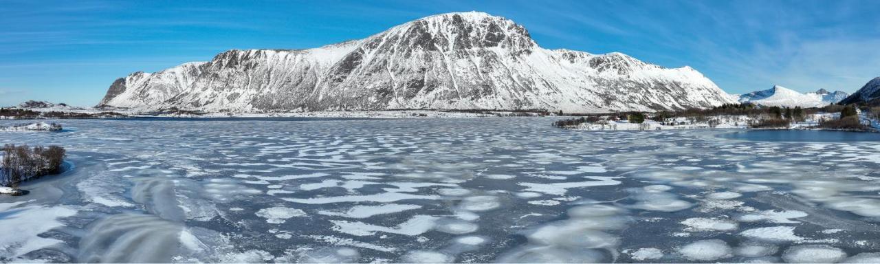 Wildlife Panorama Lofoten Bostad 外观 照片